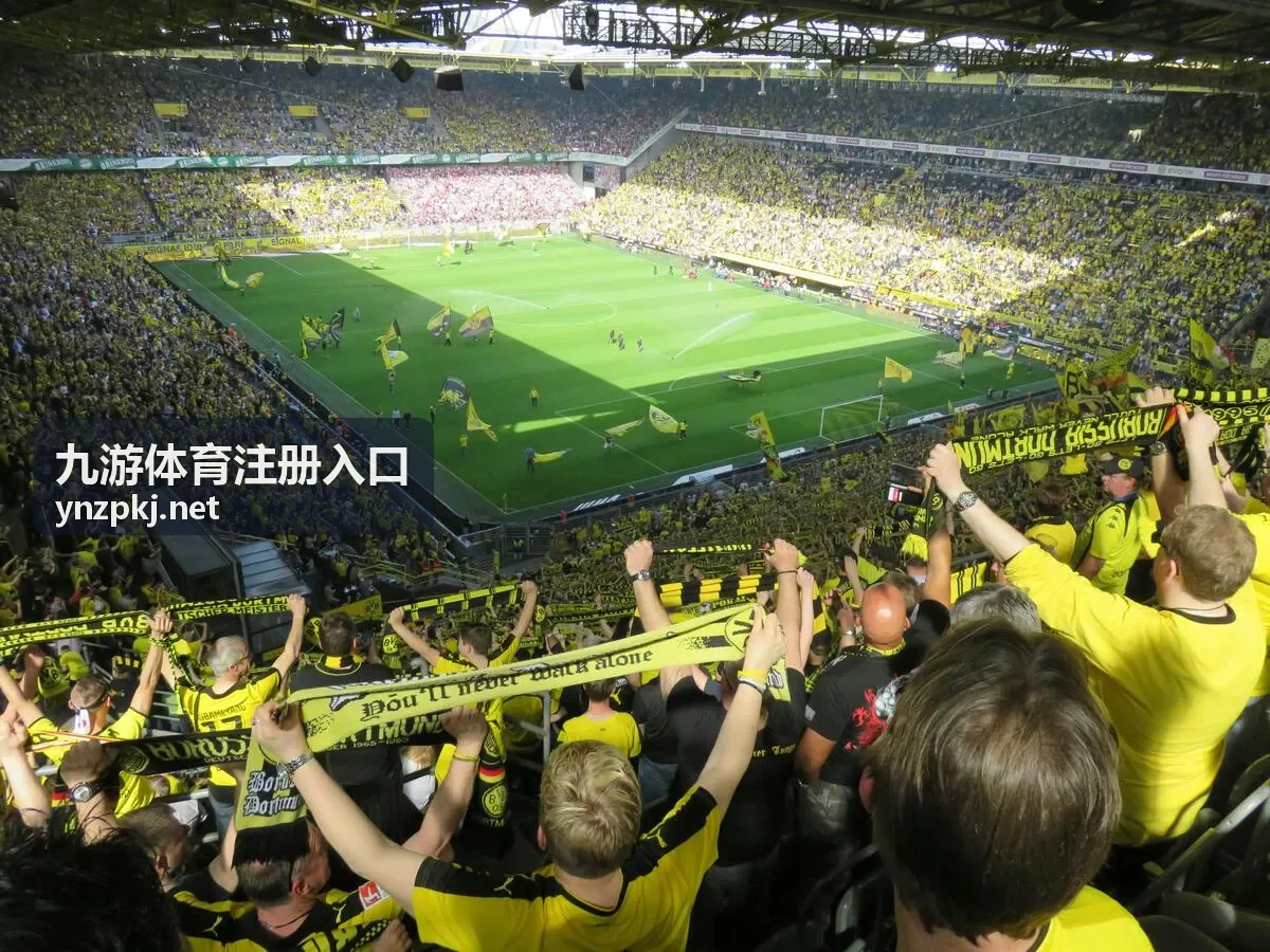 九游体育注册入口登录提醒与设备管理设置