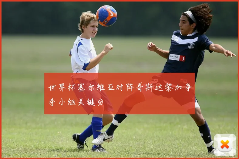 世界杯塞尔维亚对阵哥斯达黎加争夺小组关键分