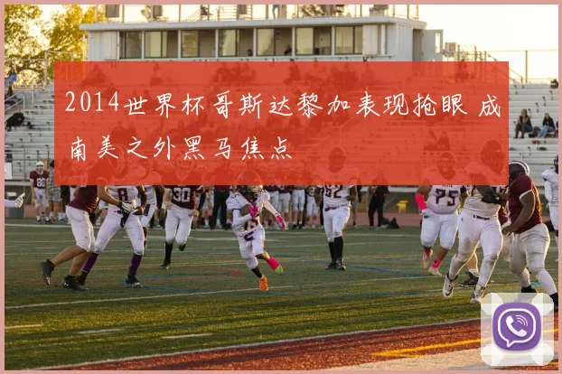 2014世界杯哥斯达黎加表现抢眼 成南美之外黑马焦点