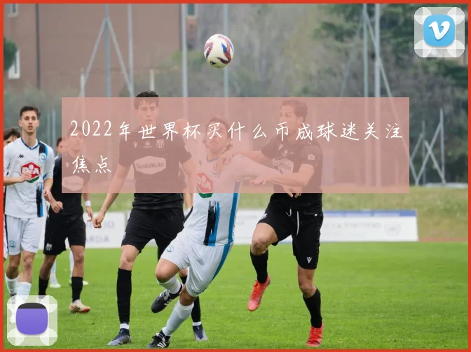 2022年世界杯买什么币成球迷关注焦点